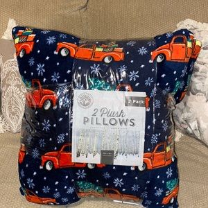 ❤️💙💚NWT Birch Trail Bedding Co. 2 Plush Pillows